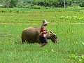 Yangshou (048)